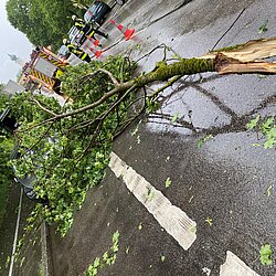 Stadtgebiet: Erneut stürmische Einsätze